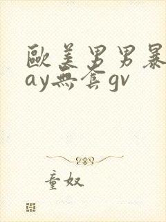 欧美男男暴菊gay无套gv