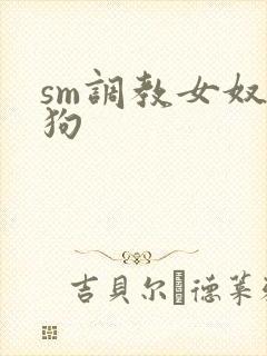 sm调教女奴母狗