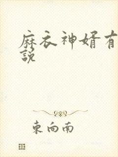 麻衣神婿有声小说封面