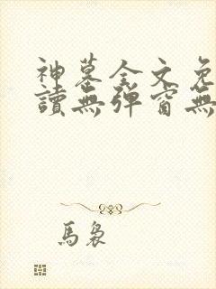 神墓全文免费阅读无弹窗无广告封面