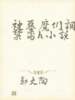 被恶魔们调教成禁脔h小说