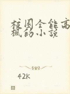 校园全能高手季枫的小说