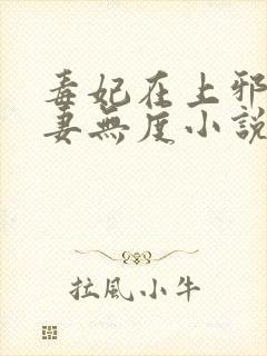 毒妃在上邪王宠妻无度小说