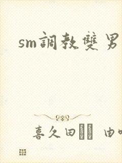sm调教双男