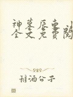 神墓辰东 小说全文免费阅读封面