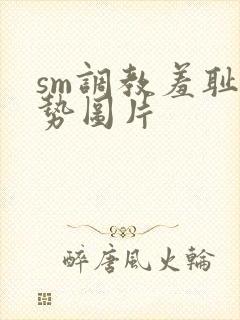 sm调教羞耻姿势图片