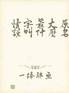 情字最大原著小说叫什么名字