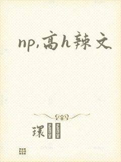 np,高h辣文