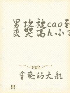 男攻被cao到爽哭高h小说封面