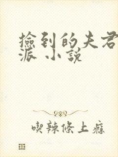 捡到的夫君成反派 小说