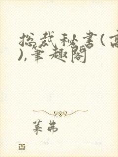 总裁秘书(高干),笔趣阁