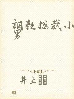 调教总裁小说男男