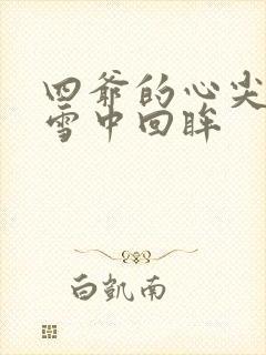 四爷的心尖宠妃雪中回眸封面
