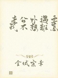 老公外遇要离婚我不想离怎么办封面