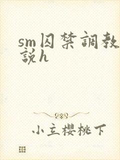 sm囚禁调教小说h封面