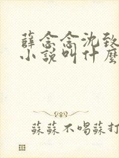 薛念念沈致宴的小说叫什么