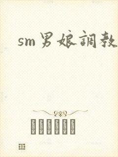 sm男娘调教