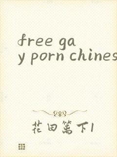 free gay porn chinese封面