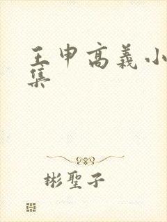 王申高义小说全集