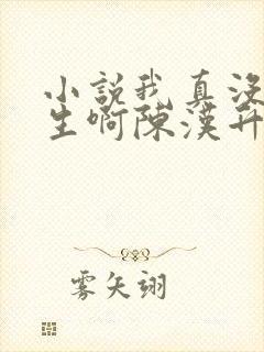 小说我真没想重生啊陈汉升全文