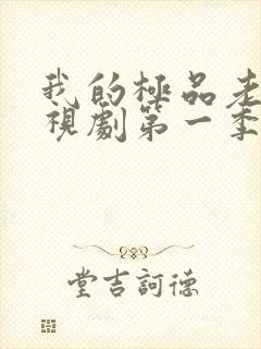 我的极品老婆电视剧第一季在线播放
