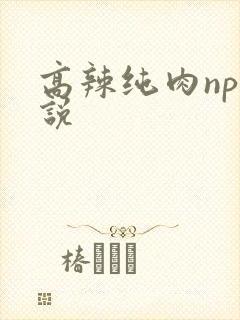 高辣纯肉np小说