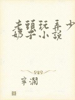 老头玩弄少妇的奶子小说