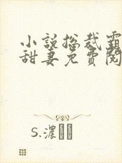 小说总裁霸宠小甜妻免费阅读