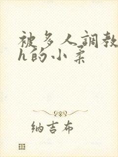 被多人调教失禁h的小柔