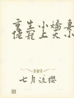 重生小娇妻:大佬宠上天小说