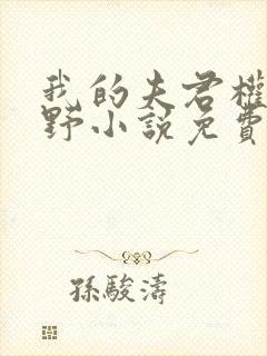 我的夫君权倾朝野小说免费阅读