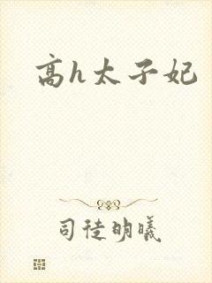 高h太子妃