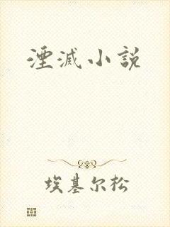 湮灭小说
