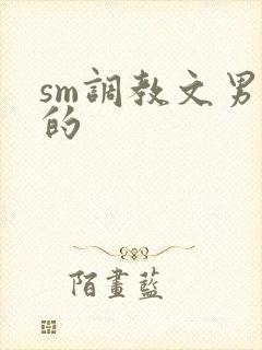 sm调教文男男的
