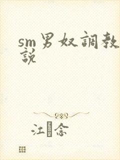 sm男奴调教小说封面