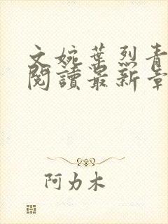 文婉叶烈青免费阅读最新章节封面