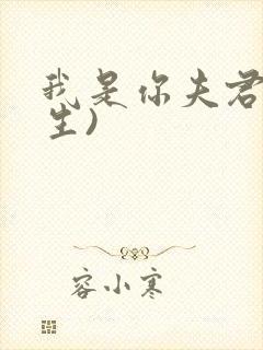 我是你夫君(重生)