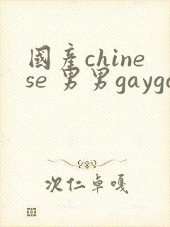 国产chinese 男男gaygay网站封面