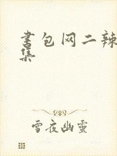书包网二辣文合集封面