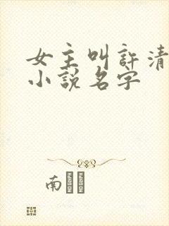 女主叫许清欢的小说名字封面