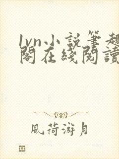 1vn小说笔趣阁在线阅读