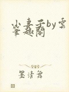 小妻子by云间笔趣阁
