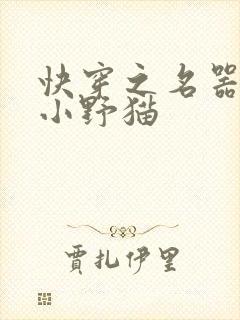 快穿之名器女配小野猫