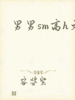男男sm高h文