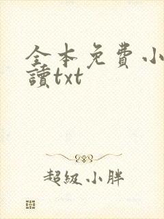 全本免费小说阅读txt封面