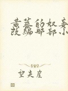 黄蓉的奴妾小说改编哪部小说