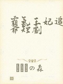 霸气王妃追妻王爷短剧