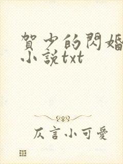 贺少的闪婚暖妻小说txt封面