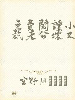 免费阅读小说总裁老公坏又甜