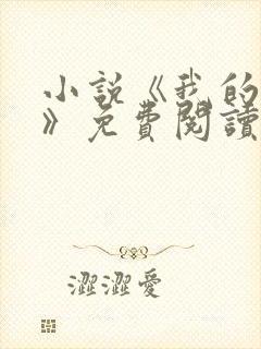 小说《我的荷姨》免费阅读